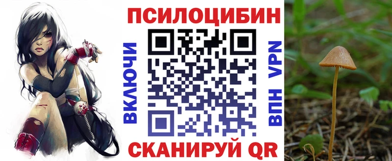 даркнет какой сайт  Жирновск  Галлюциногенные грибы Psilocybine cubensis  где купить  