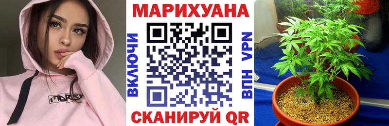 блэк спрут как зайти  Жирновск  Шишки марихуана MAZAR 